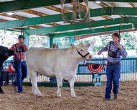 DC FFA Obion County Fair 08/23/2024