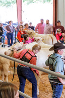 DCHS FFA Dyer County Fair 2021